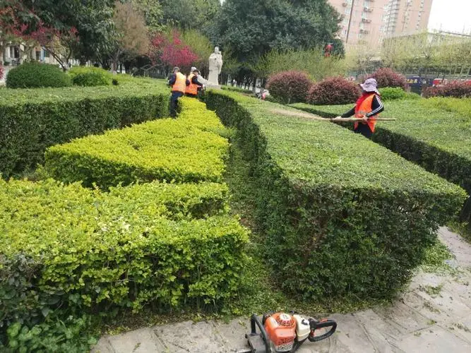 嘉峪關(guān)廣場公園景觀綠化工程