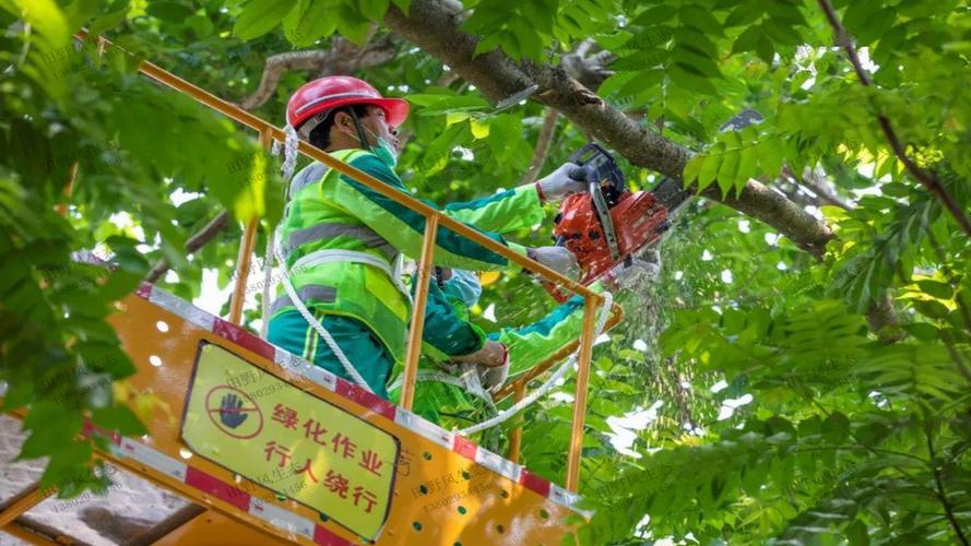 大平層4樓園林景觀設(shè)計(jì)