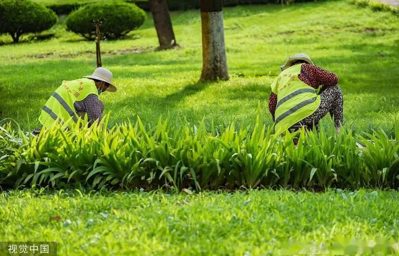 烏魯木齊兒童公園綠化工程